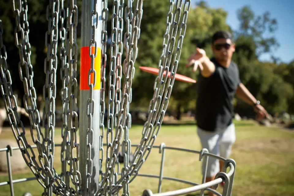 Disc golf basket on a course
